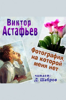 Аудиокнига Фотография, на которой меня нет