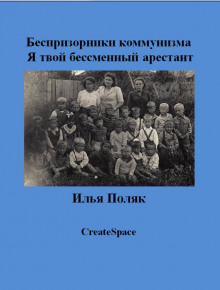 Аудиокнига Песни задрипанного ДПР