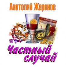 Аудиокнига Частный случай