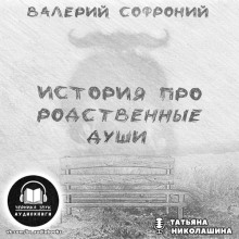 Аудиокнига История про родственные души