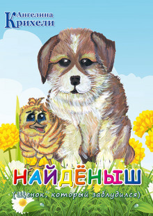Аудиокнига Найденыш