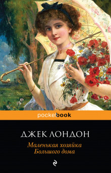 Аудиокнига Маленькая хозяйка большого дома