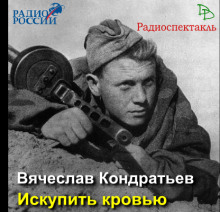 Аудиокнига Искупить кровью