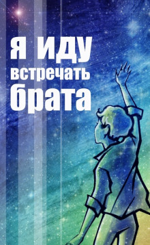 Аудиокнига Я иду встречать брата