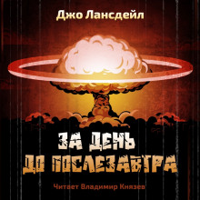 Аудиокнига За день до послезавтра