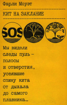 Аудиокнига Кит на заклание