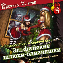 Аудиокнига Эльфийские шлюхи близняшки