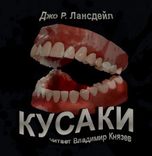 Аудиокнига Кусаки