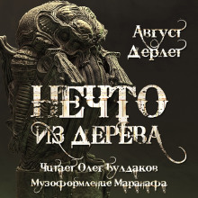 Аудиокнига Нечто из дерева