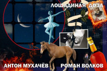 Аудиокнига Лошадиная доза