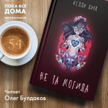 Аудиокнига Не та могила