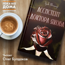 Аудиокнига Ассистент доктора Якоба