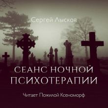 Аудиокнига Сеанс ночной психотерапии