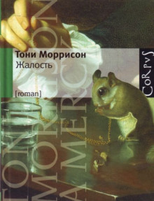 Аудиокнига Жалость