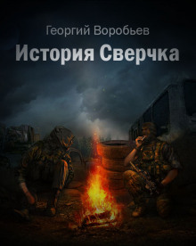 Аудиокнига S.T.A.L.K.E.R. История Сверчка