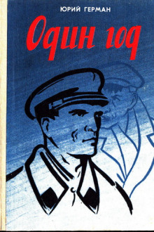 Аудиокнига Один год