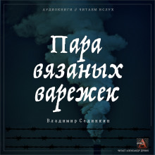 Аудиокнига Пара вязаных варежек