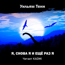 Аудиокнига Я, снова я и ещё раз я