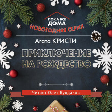 Аудиокнига Приключение на Рождество