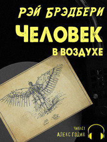 Аудиокнига Человек в воздухе