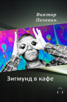 Аудиокнига Зигмунд в кафе