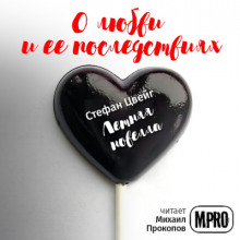 Аудиокнига Летняя новелла