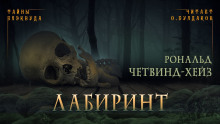 Аудиокнига Лабиринт
