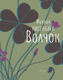 Аудиокнига Волчок
