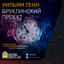 Аудиокнига Бруклинский проект