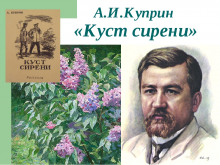 Аудиокнига Куст сирени