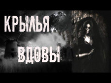 Аудиокнига Крылья вдовы