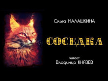 Аудиокнига Соседка