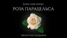 Аудиокнига Роза Парацельса