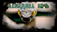 Аудиокнига Аспидова ночь