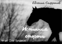 Аудиокнига Истинная сторона