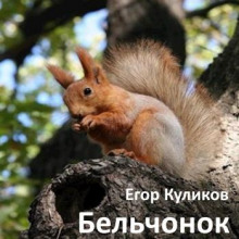 Аудиокнига Бельчонок
