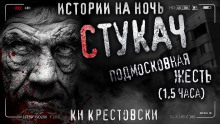 Аудиокнига Стукач