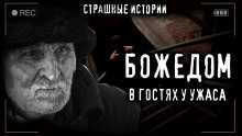 Аудиокнига Божедомка