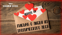 Аудиокнига Письма о любви из тропического леса