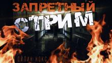 Аудиокнига Запретный стрим