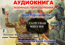 Аудиокнига Секретная миссия
