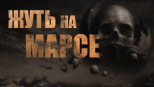 Аудиокнига Лабиринт ночи