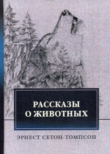 Аудиокнига Виннипегский волк