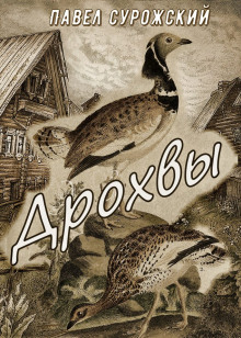 Аудиокнига Дрохвы