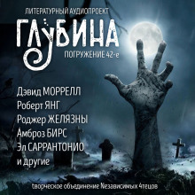Аудиокнига ГЛУБИНА. Погружение 42-е