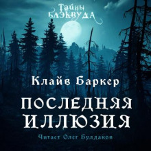 Аудиокнига Последняя иллюзия