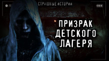 Аудиокнига Девочка в озере и берёзках