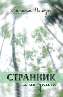 Аудиокнига Странник я на земле...
