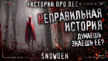 Аудиокнига Неправильная история
