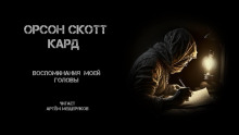 Аудиокнига Воспоминания моей головы